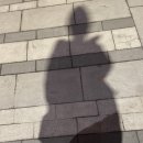 김포한강2로-R 네이버블로그
