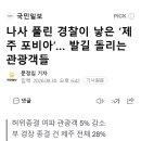나사 풀린 경찰이 낳은 ‘제주 포비아’… 발길 돌리는 관광객들 이미지