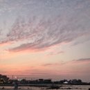 깡촌강쥐 이미지