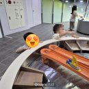 (사)서울신체장애인복지회 | 서울상상나라 34개월 아기랑 주말 예약, 주차, 도시락 존 찐후기