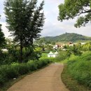 중랑캠핑숲 이미지