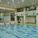 미진수영장 이미지