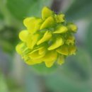 고원관광휴게소 이미지