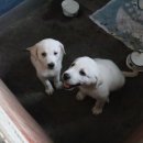 구나무촌 유원지 이미지