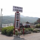 도토리플라워