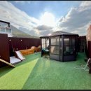 서른살나의펫 이미지