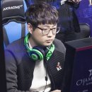 명품타이거즈 이미지