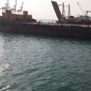 시화힐링낚시터 이미지