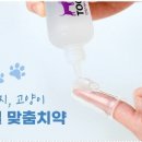 페테리안 이미지