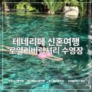 로얄카바나 | 12월 신혼여행 테네리페 로얄리버럭셔리 야외수영장 풀사이드바 겨울휴양지 추천