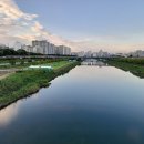 중랑천 파크골프장 이미지