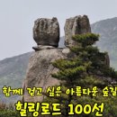 계룡산임도1(거제공고 위) | 대전숲체원길 / 도심속에서 산림치유와 휴양을 동시에 누릴 수 있는 공간