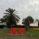 911 매일의원 이미지