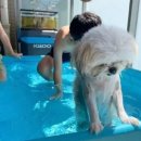 횡계마을회관 이미지