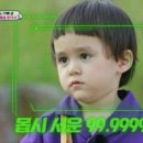 카우 글램핑 이미지