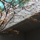 부천테크노파크 2단지 이미지