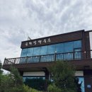 금화정 | 고성 막국수 수육 맛집 BTS 맛집 내돈내산 후기, 금화정 막국수