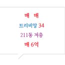 트리비앙상가 주차장 이미지