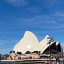 오페라뮤직 | [🇦🇺] 시드니 오페라 바(Opera Bar) 후기: 갈매기 습격 피하며 아페롤 스프리츠 한 잔 🍹