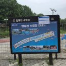 강남 어린이물놀이장 앞 | [양재천 어린이 수영장 이용 후기!] 강남 서초 아이들과 물놀이 정말 좋은 곳(+주차+26년 달라진 점)