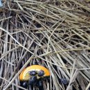 우남농장 이미지