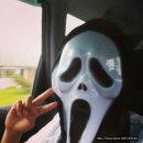 타우랑가에서 5번째 맞이하는 Halloween day 이미지