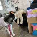 빠리화실 이미지