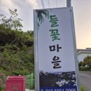 사랑초펜션 | 여수펜션 고민 끝! 여수 들꽃마을펜션 사랑초 객실 리얼 후기