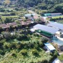 산청쏠라 이미지