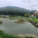 우산소류지 티스토리