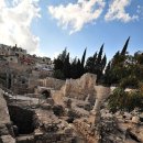 베데스다 연못(Bassins de Bethesda, Pool of Bethesda) 이미지