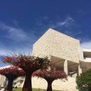 동심으로의 회귀 이미지