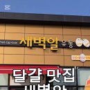 새벽알유통 이미지