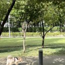 문화산책코스 네이버블로그
