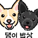 댕이밥상 이미지