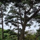 용천스파랜드 이미지