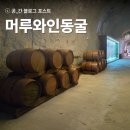 정화발전소 | 무주 이색 여행지 추천! 무주 머루와인동굴 방문 후기