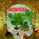 애견호텔중독