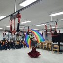 밸리댄스 주간 이미지