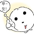 될 놈 마켓 네이버블로그