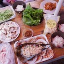 솜니움트리 이미지