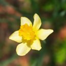 백구한식 이미지