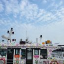 고흥-1호 | 전남 고흥여행 필수코스 나로도항 출발 개인정원 애도 쑥섬 다녀온후기