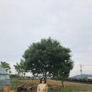 연무우리약국 이미지