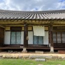 차꽃오미 이미지