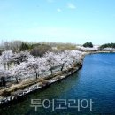 나들이펜션A 이미지