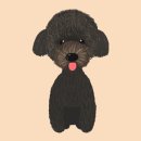 아지 이미지