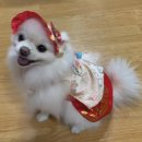 꽁냥이네드레스룸