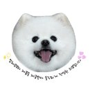 맛있개 건강하개 | [건강하개] 강아지 화식 자연식 추천 기호성 좋은 건강하개 건강한끼