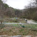 곡성-219 이미지